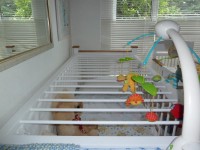 The AB cot with bars to keep you in.