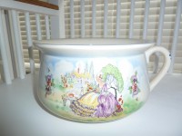 For potty training 'large' bottoms.